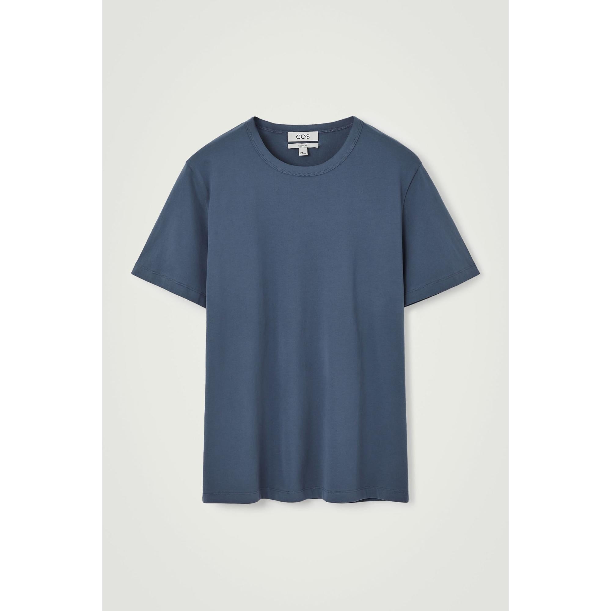 Men Regular Brushed-Cotton T-Shirt - Blue