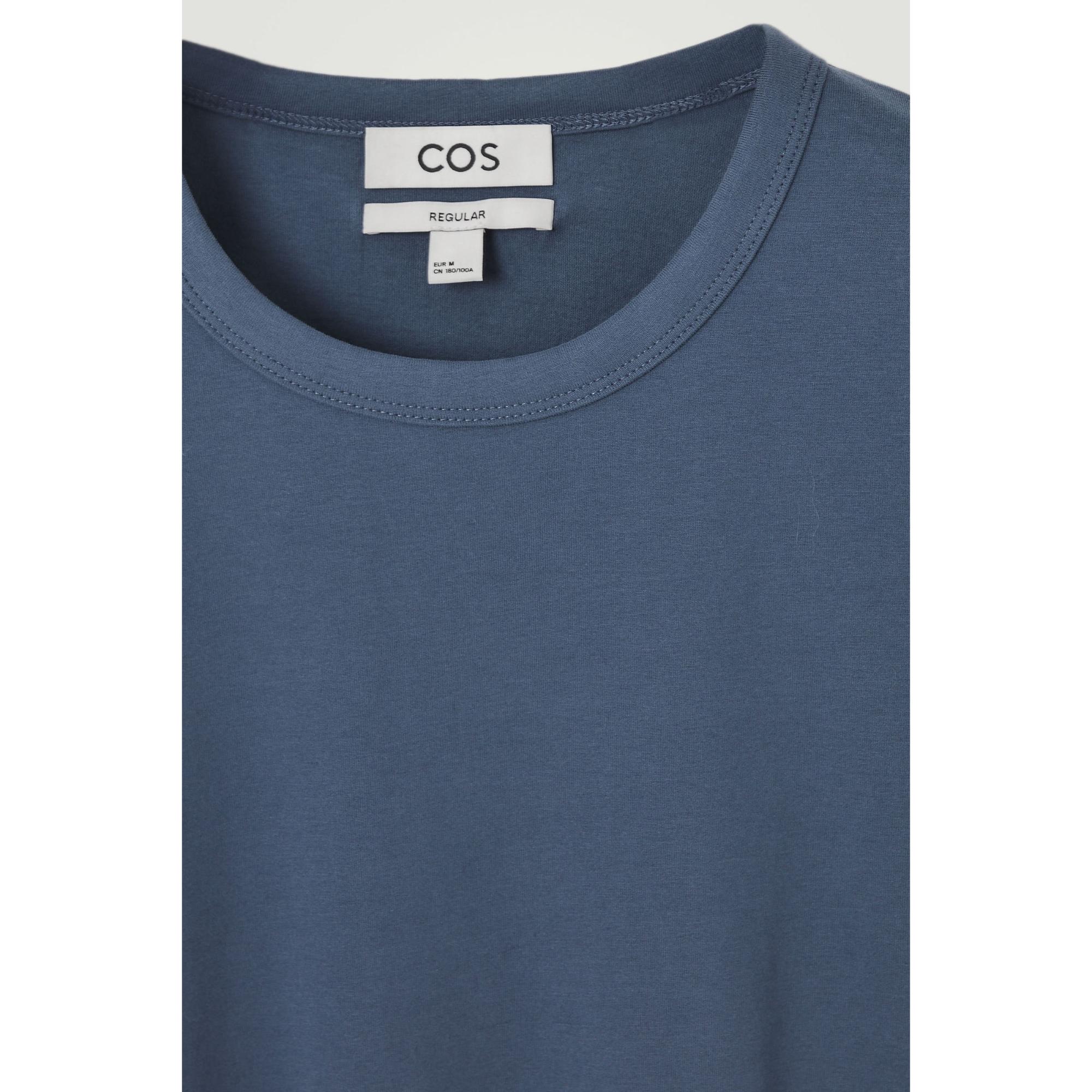 Men Regular Brushed-Cotton T-Shirt - Blue
