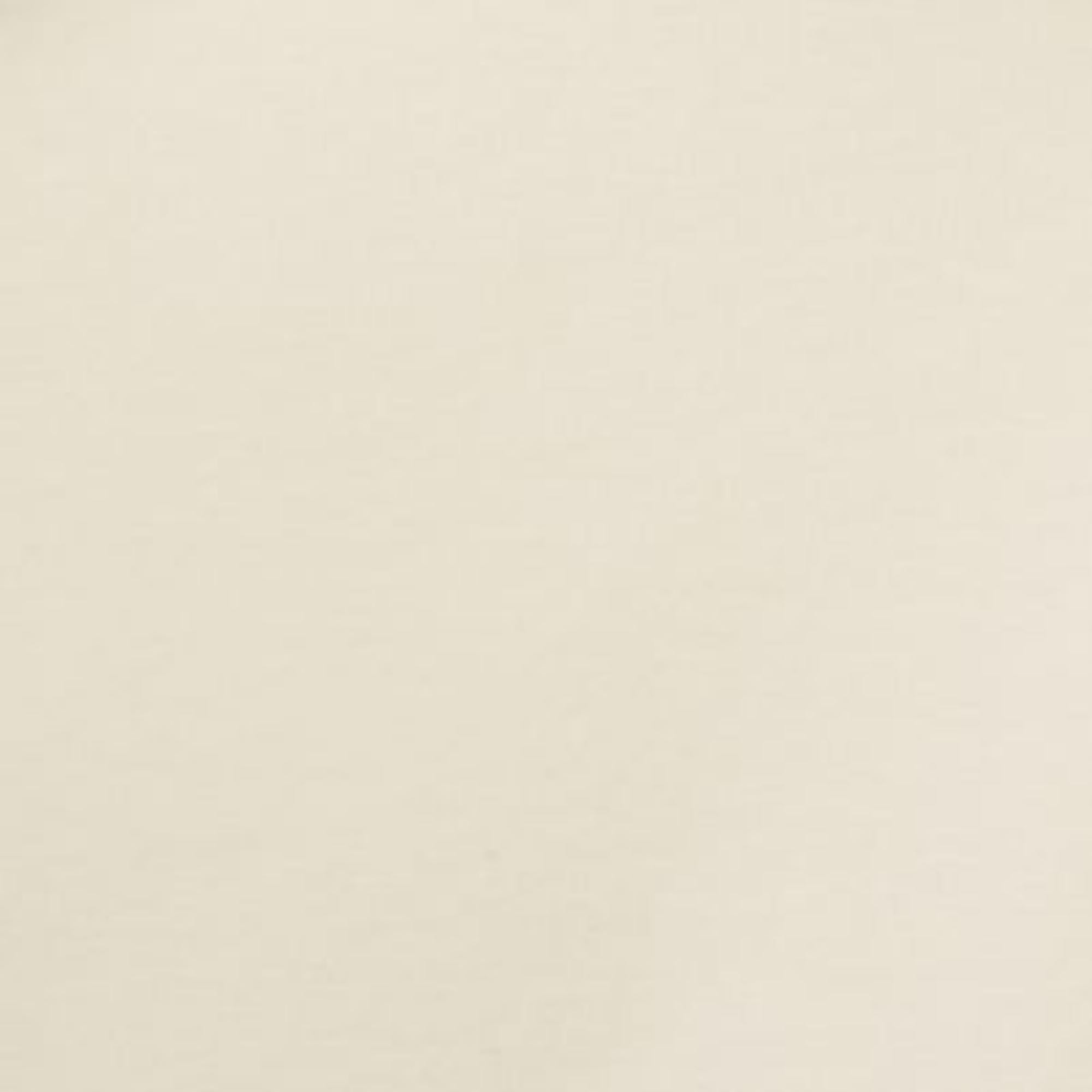 Women Clean Cut Regular T-Shirt - Beige