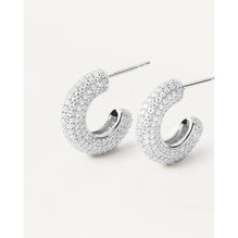 King Silver Earrings