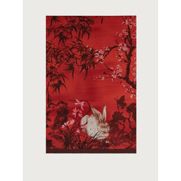 Women Rabbit Print Stole - Red