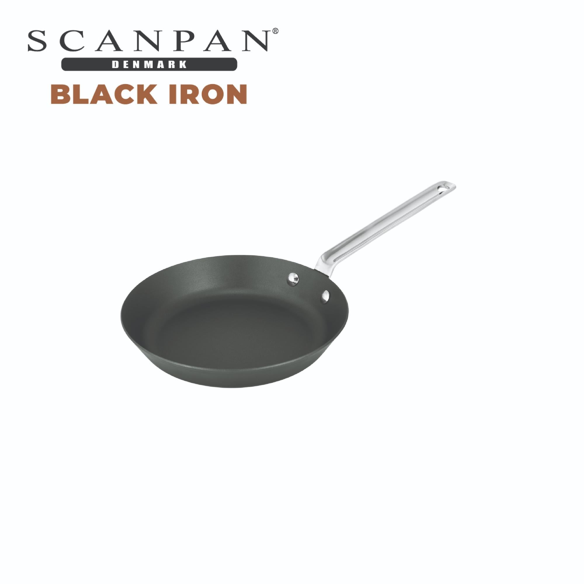 Scanpan Black Iron Fry Pan - 22cm