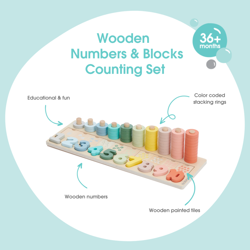 Bubble Wooden Numbers & Blocks Counting Set