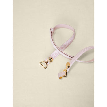 Women Thin Leather Belt With Lion Bit - Pale Pink