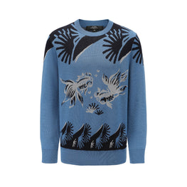 Men Crew Neck Wool Jumper - Blue