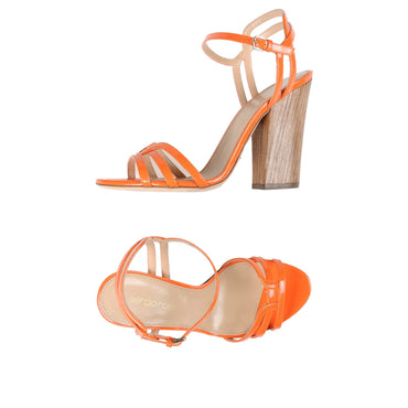 Women Sergio Rossi Sandals - Orange